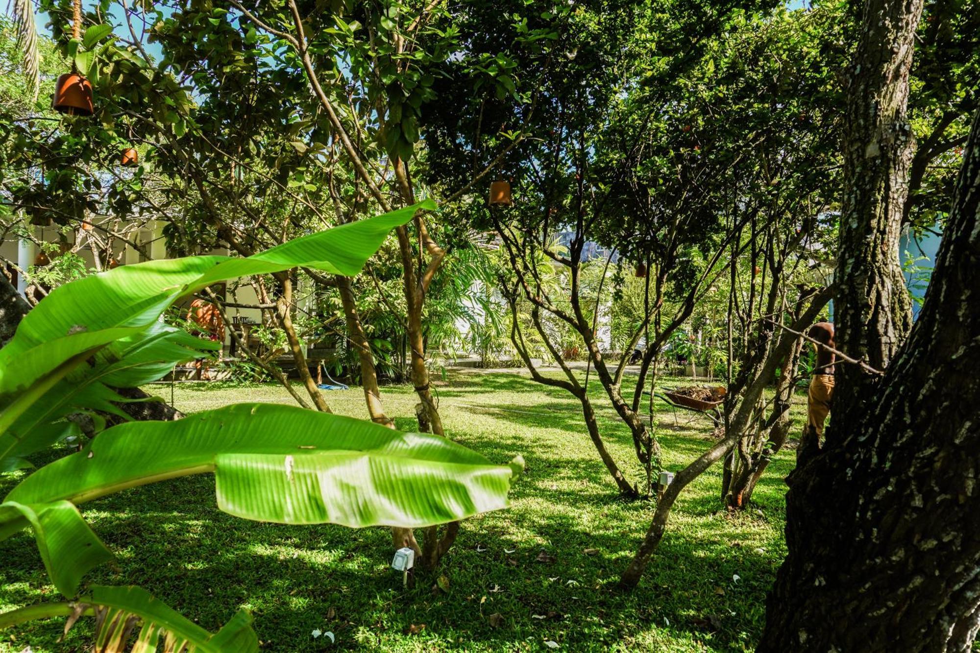 Jackie'S Guest House Mirissa Buitenkant foto